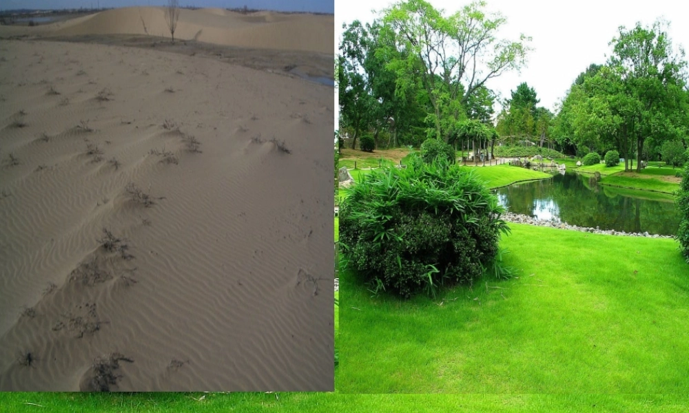 2014学年七年级科学上册 常见的植物（第1课时）课件 浙教版