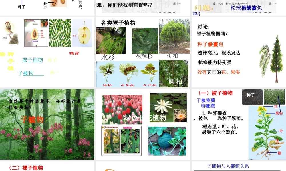 2014学年七年级科学上册 常见的植物（第1课时）课件 浙教版