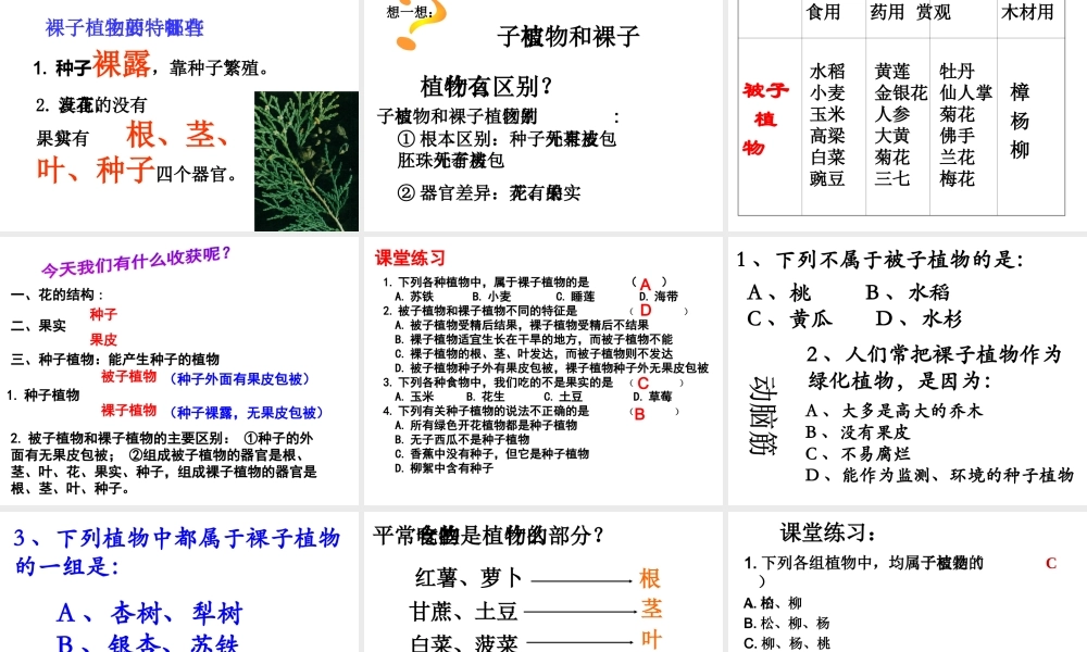 2014学年七年级科学上册 常见的植物（第1课时）课件 浙教版