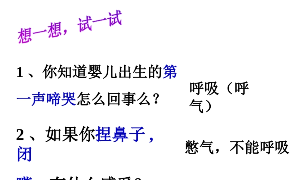 2014七年级生物下册 3.1 呼吸道对空气的处理课件1 新人教版
