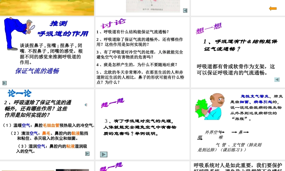 2014七年级生物下册 3.1 呼吸道对空气的处理课件1 新人教版