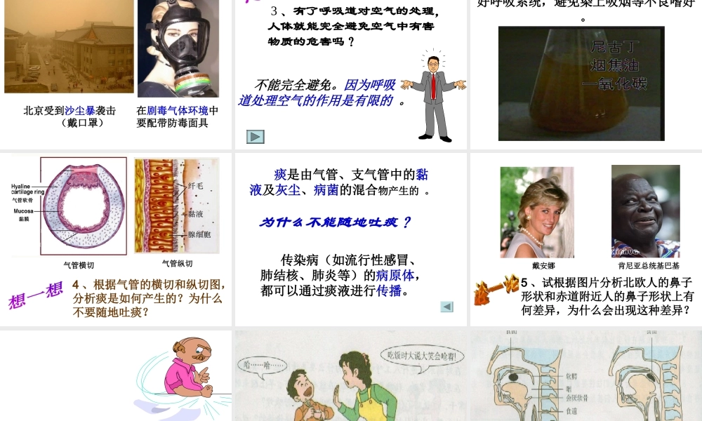 2014七年级生物下册 3.1 呼吸道对空气的处理课件1 新人教版