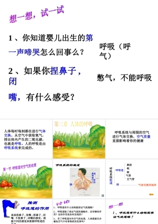 2014七年级生物下册 3.1 呼吸道对空气的处理课件1 新人教版