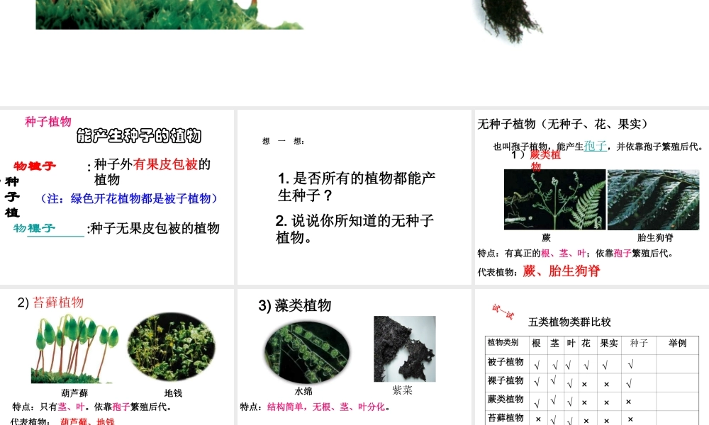 2014学年七年级科学上册 常见的植物（第2课时）课件 浙教版