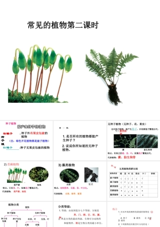 2014学年七年级科学上册 常见的植物（第2课时）课件 浙教版