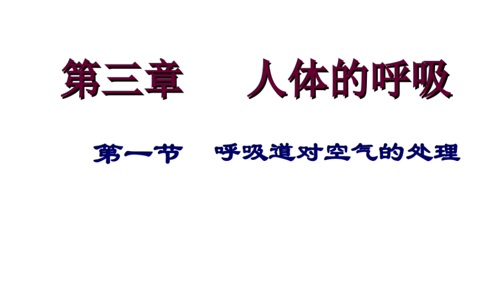 2014七年级生物下册 3.1 呼吸道对空气的处理课件2 新人教版
