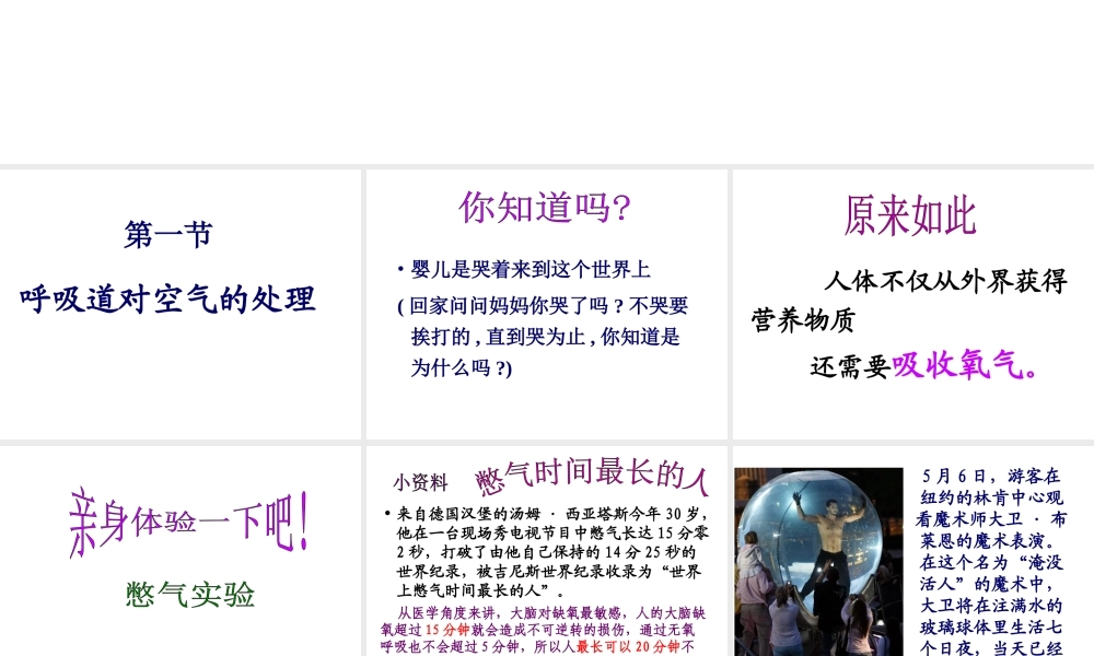 2014七年级生物下册 3.1 呼吸道对空气的处理课件2 新人教版