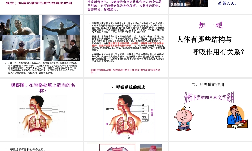 2014七年级生物下册 3.1 呼吸道对空气的处理课件2 新人教版