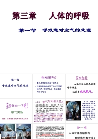 2014七年级生物下册 3.1 呼吸道对空气的处理课件2 新人教版