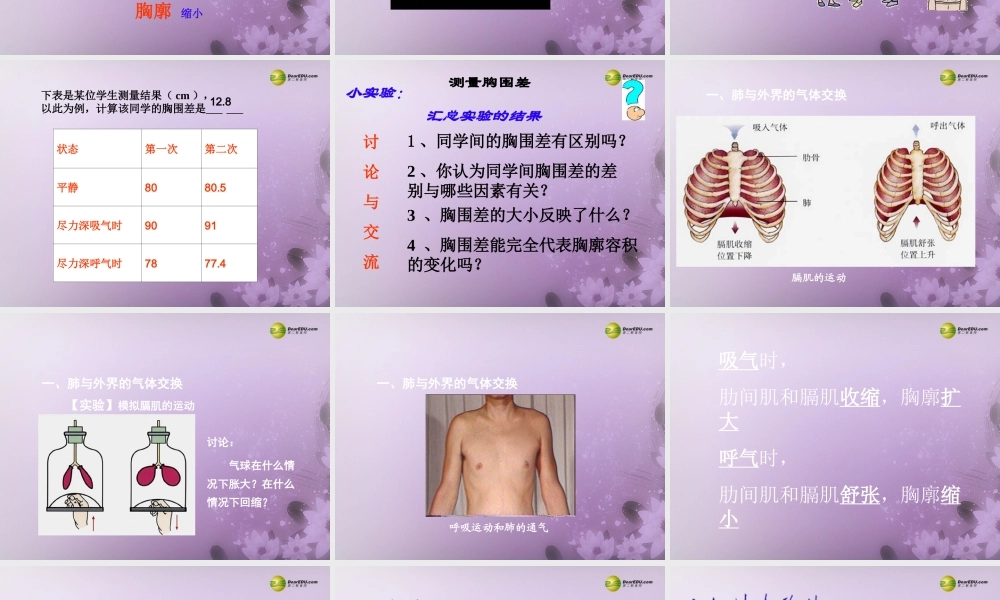 2014七年级生物下册 3.2 发生在肺内的气体交换课件2 新人教版