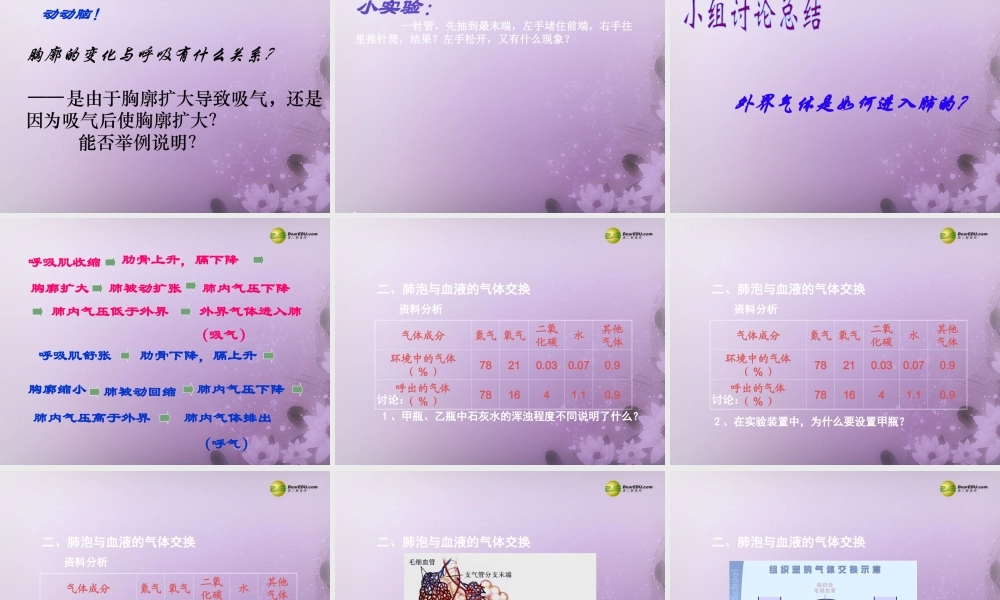 2014七年级生物下册 3.2 发生在肺内的气体交换课件2 新人教版