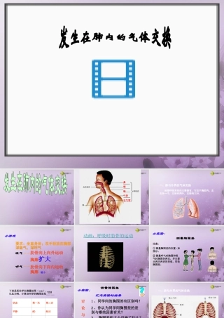 2014七年级生物下册 3.2 发生在肺内的气体交换课件2 新人教版