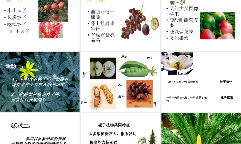 2014学年七年级科学上册 第二章 第五节 常见的植物课件 浙教版
