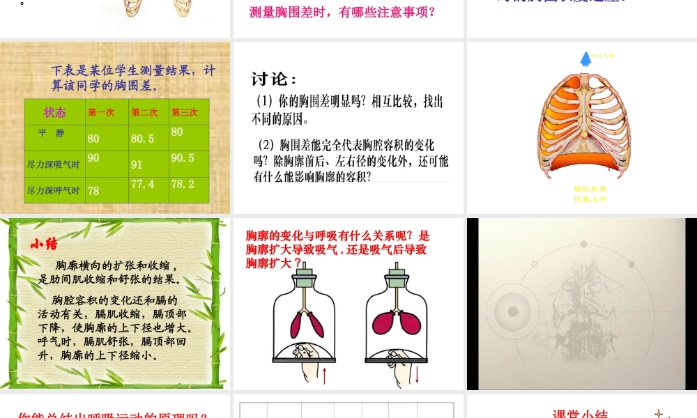 2014七年级生物下册 3.2 发生在肺内的气体交换课件1 新人教版
