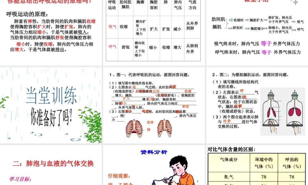 2014七年级生物下册 3.2 发生在肺内的气体交换课件1 新人教版
