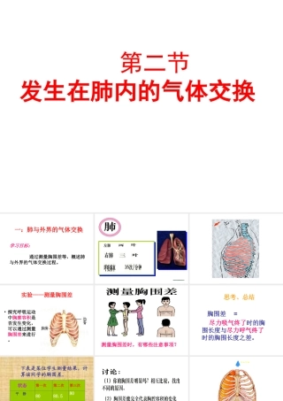 2014七年级生物下册 3.2 发生在肺内的气体交换课件1 新人教版