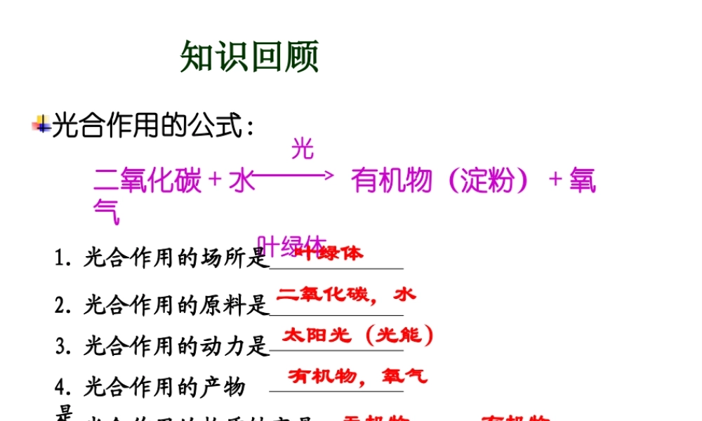 2014学年七年级生物上册 第二节 绿色植物的呼吸作用课件 新人教版