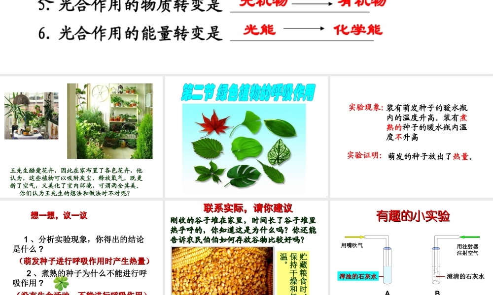 2014学年七年级生物上册 第二节 绿色植物的呼吸作用课件 新人教版
