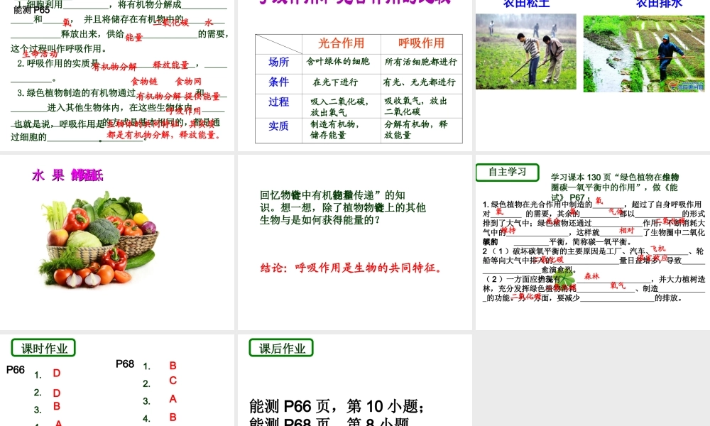 2014学年七年级生物上册 第二节 绿色植物的呼吸作用课件 新人教版