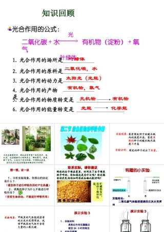 2014学年七年级生物上册 第二节 绿色植物的呼吸作用课件 新人教版