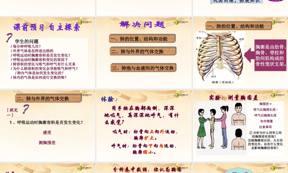 2014七年级生物下册 3.2 发生在肺内的气体交换课件3 新人教版