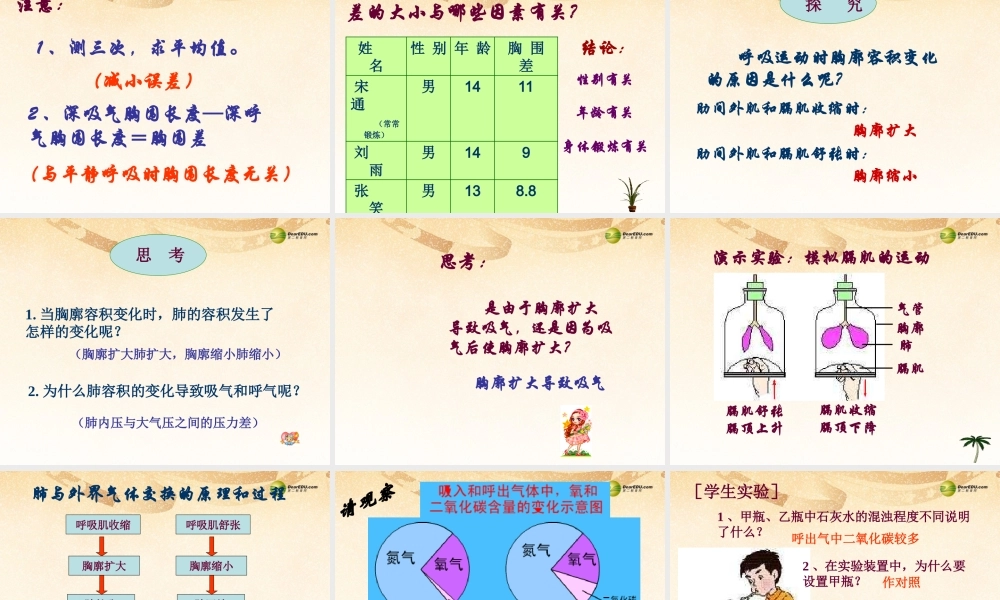 2014七年级生物下册 3.2 发生在肺内的气体交换课件3 新人教版
