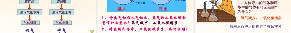 2014七年级生物下册 3.2 发生在肺内的气体交换课件3 新人教版