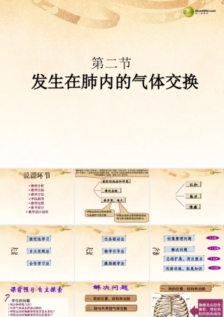 2014七年级生物下册 3.2 发生在肺内的气体交换课件3 新人教版