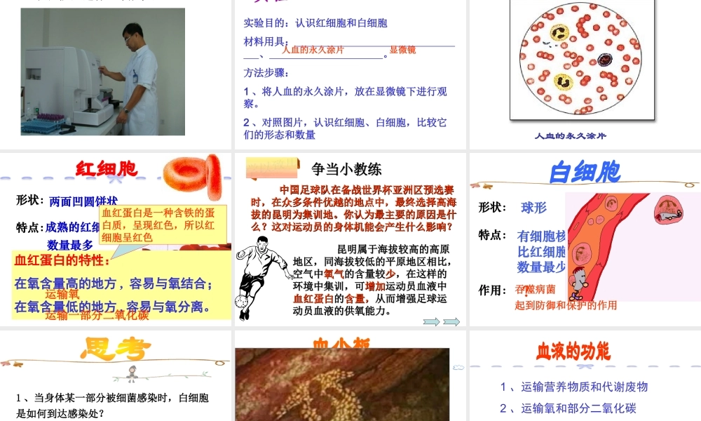 2014七年级生物下册 4.1 流动的组织---血液课件2 新人教版