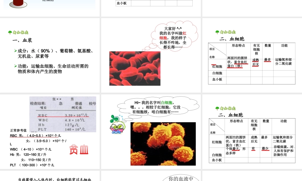 2014七年级生物下册 4.1 流动的组织——血液课件课件 新人教版