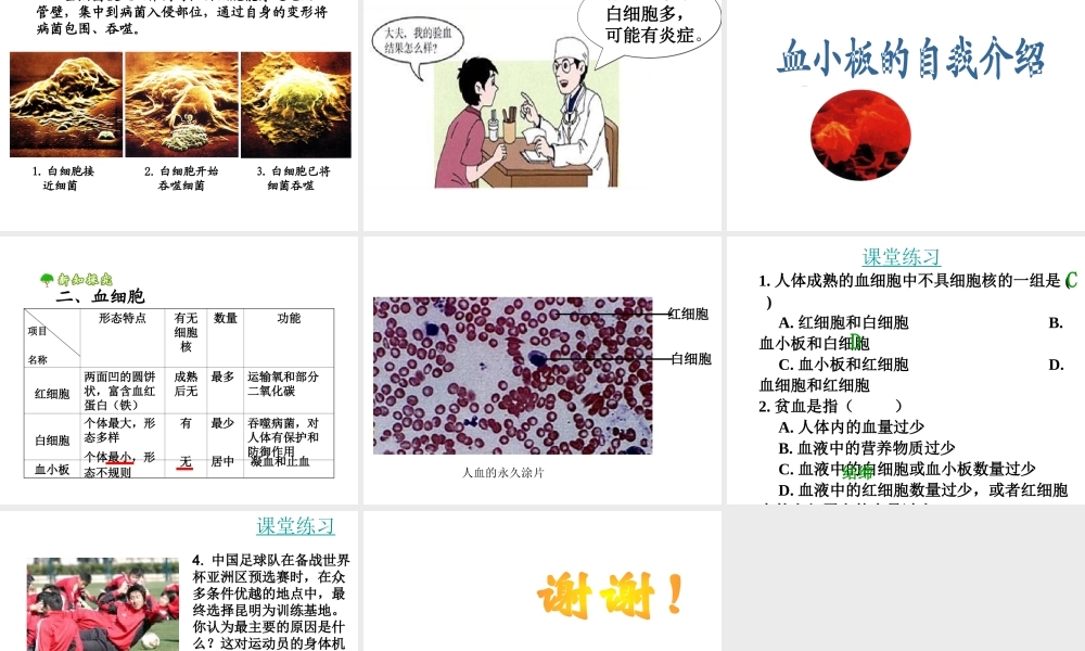 2014七年级生物下册 4.1 流动的组织——血液课件课件 新人教版