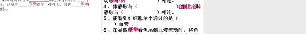 2014七年级生物下册 4.2 血流的管道--血管课件 新人教版