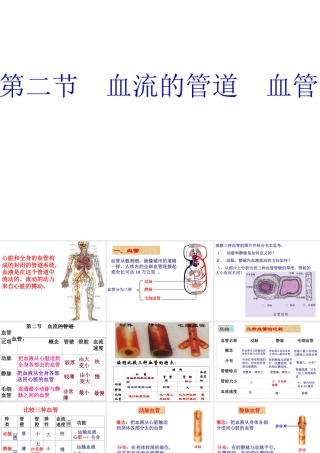 2014七年级生物下册 4.2 血流的管道--血管课件 新人教版