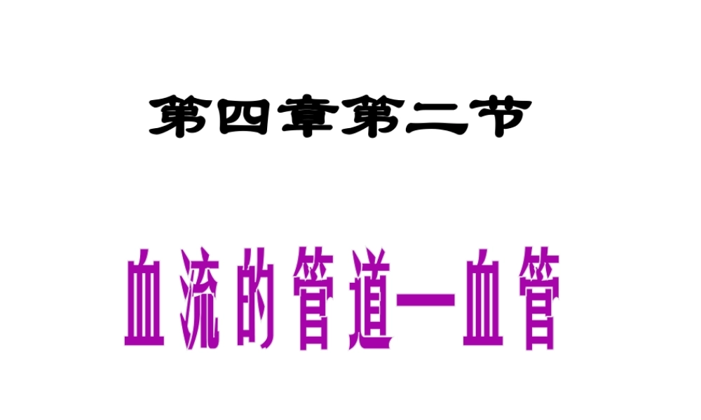 2014七年级生物下册 4.2 血流的管道——血管课件 新人教版