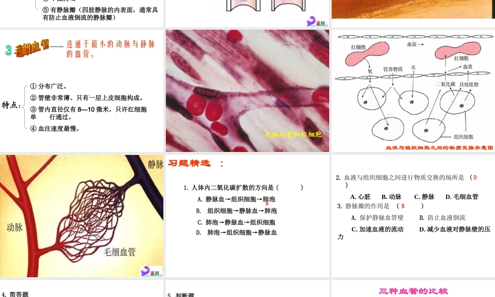 2014七年级生物下册 4.2 血流的管道——血管课件 新人教版