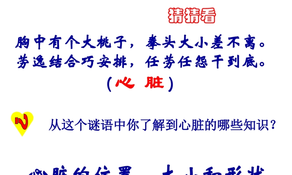 2014七年级生物下册 4.3 输送血液的泵--心脏课件1 新人教版