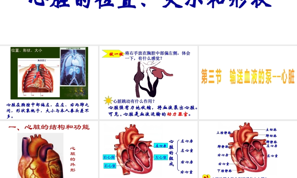 2014七年级生物下册 4.3 输送血液的泵--心脏课件1 新人教版