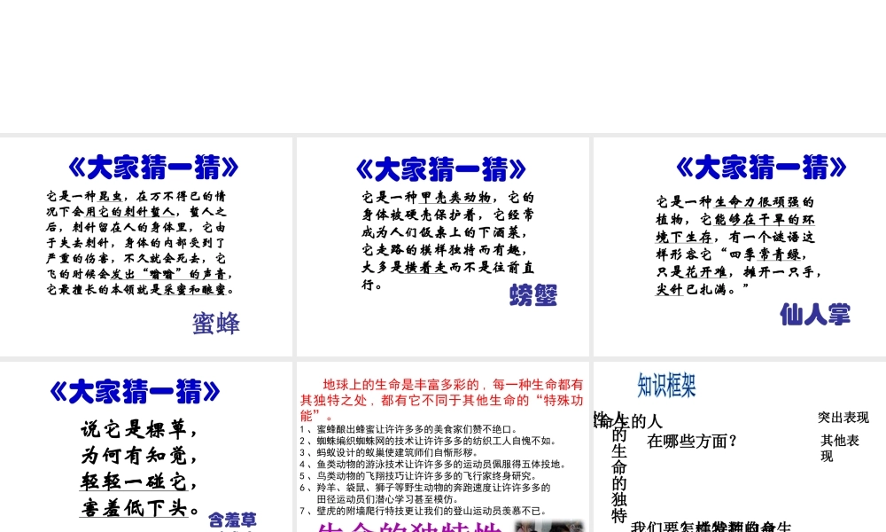 2014年秋七年级政治上册 第三课 第二框 生命因独特而绚丽课件 新人教版