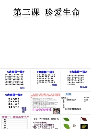 2014年秋七年级政治上册 第三课 第二框 生命因独特而绚丽课件 新人教版
