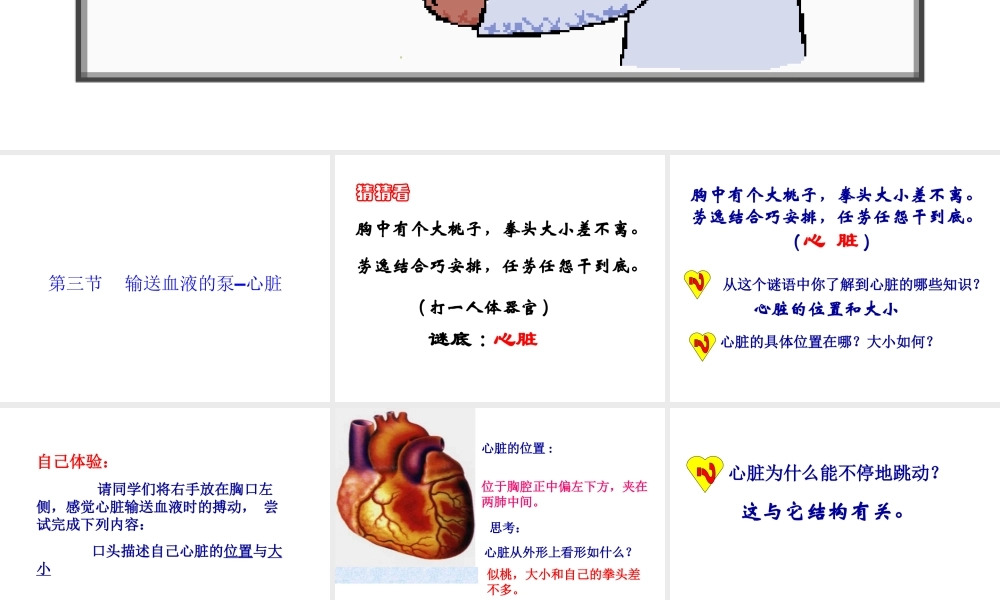 2014七年级生物下册 4.3 输送血液的泵--心脏课件2 新人教版