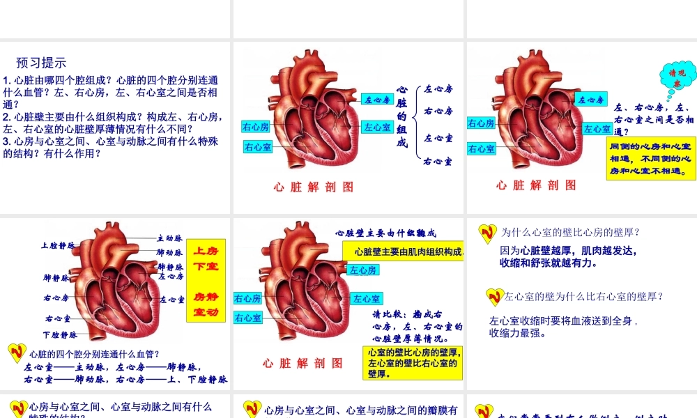 2014七年级生物下册 4.3 输送血液的泵--心脏课件2 新人教版