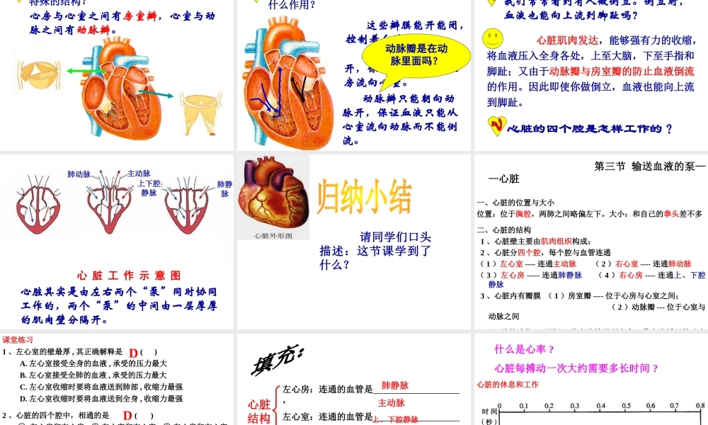 2014七年级生物下册 4.3 输送血液的泵--心脏课件2 新人教版