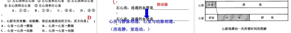 2014七年级生物下册 4.3 输送血液的泵--心脏课件2 新人教版