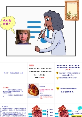 2014七年级生物下册 4.3 输送血液的泵--心脏课件2 新人教版