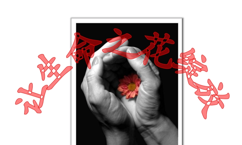 2014年秋七年级政治上册 第三课 第三框 让生命之花绽放课件 新人教版