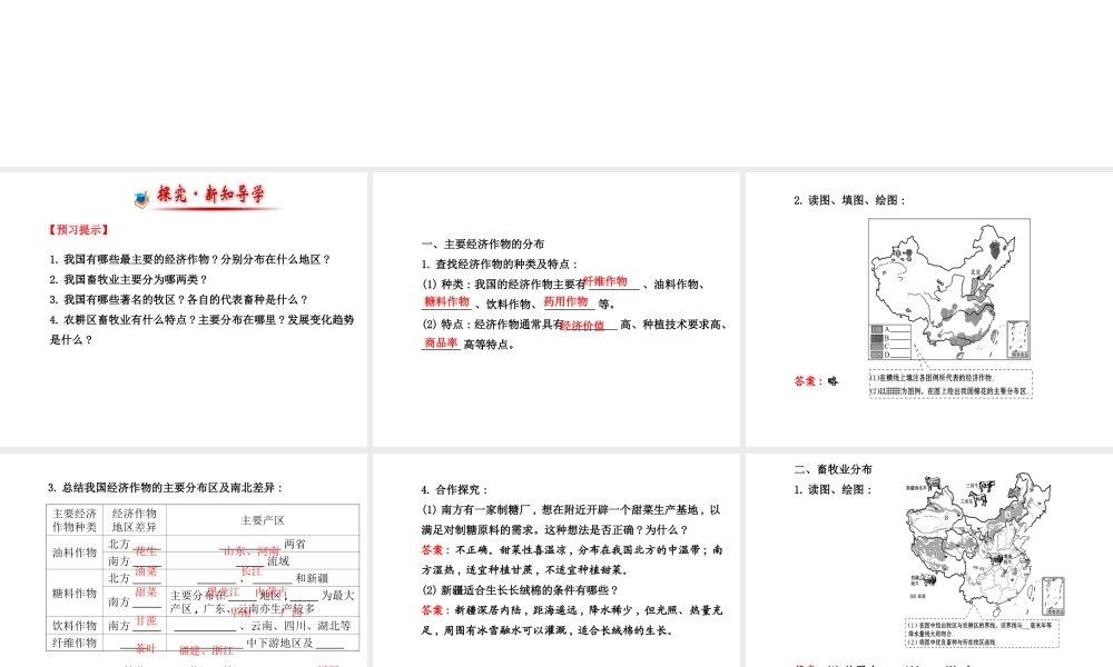 2014年秋八年级地理上册 4.1.2 主要经济作物的分布课件 （新版）湘教版