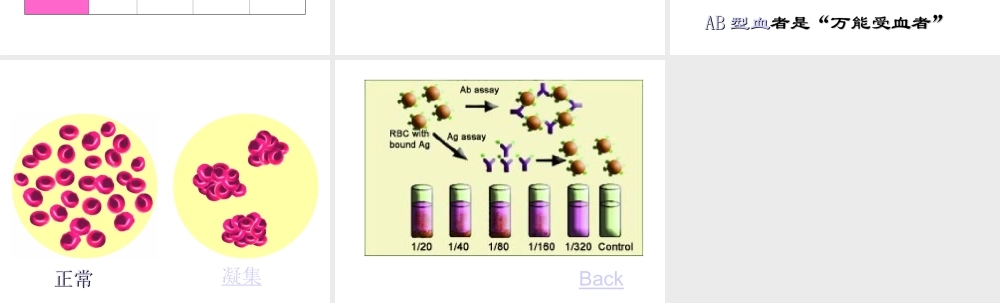 2014七年级生物下册 4.4 输血与血型课件1 新人教版