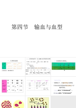 2014七年级生物下册 4.4 输血与血型课件1 新人教版