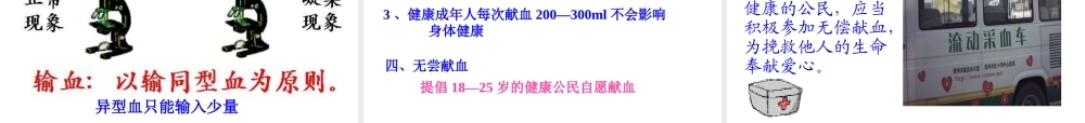 2014七年级生物下册 4.4 输血与血型课件2 新人教版