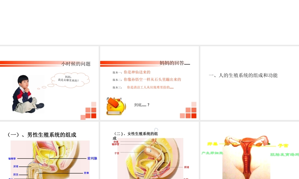 2014七年级生物下册 4.8.1 精卵结合孕育新的生命课件二 （新版）苏教版